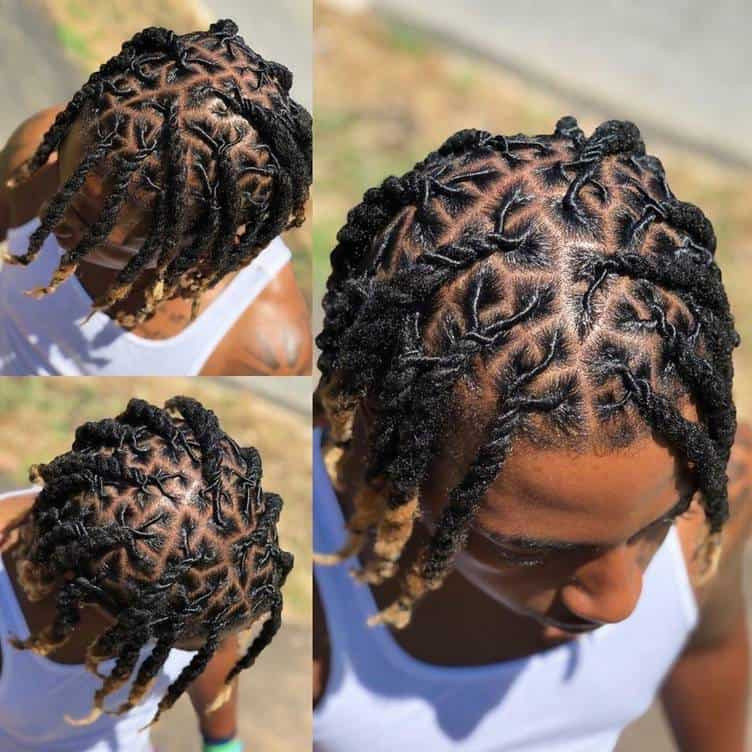 Twists Hairstyles Male
 How to Style Two Strand Twists for Men Top 12 Ideas