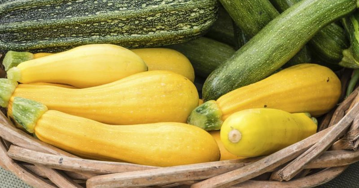 Types Of Summer Squash
 The Benefits of Yellow Squash