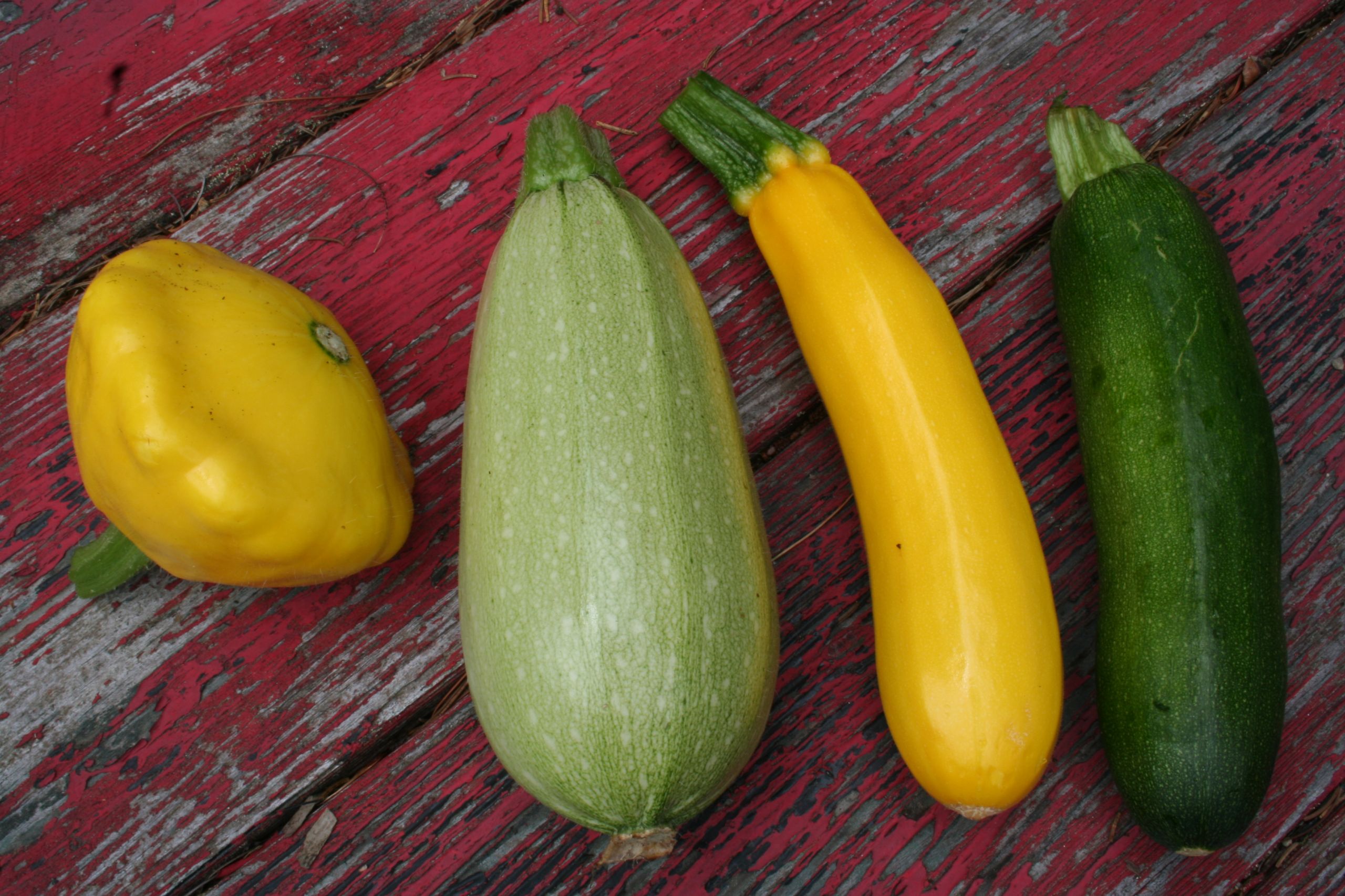 Types Of Summer Squash
 squash and zucchini difference