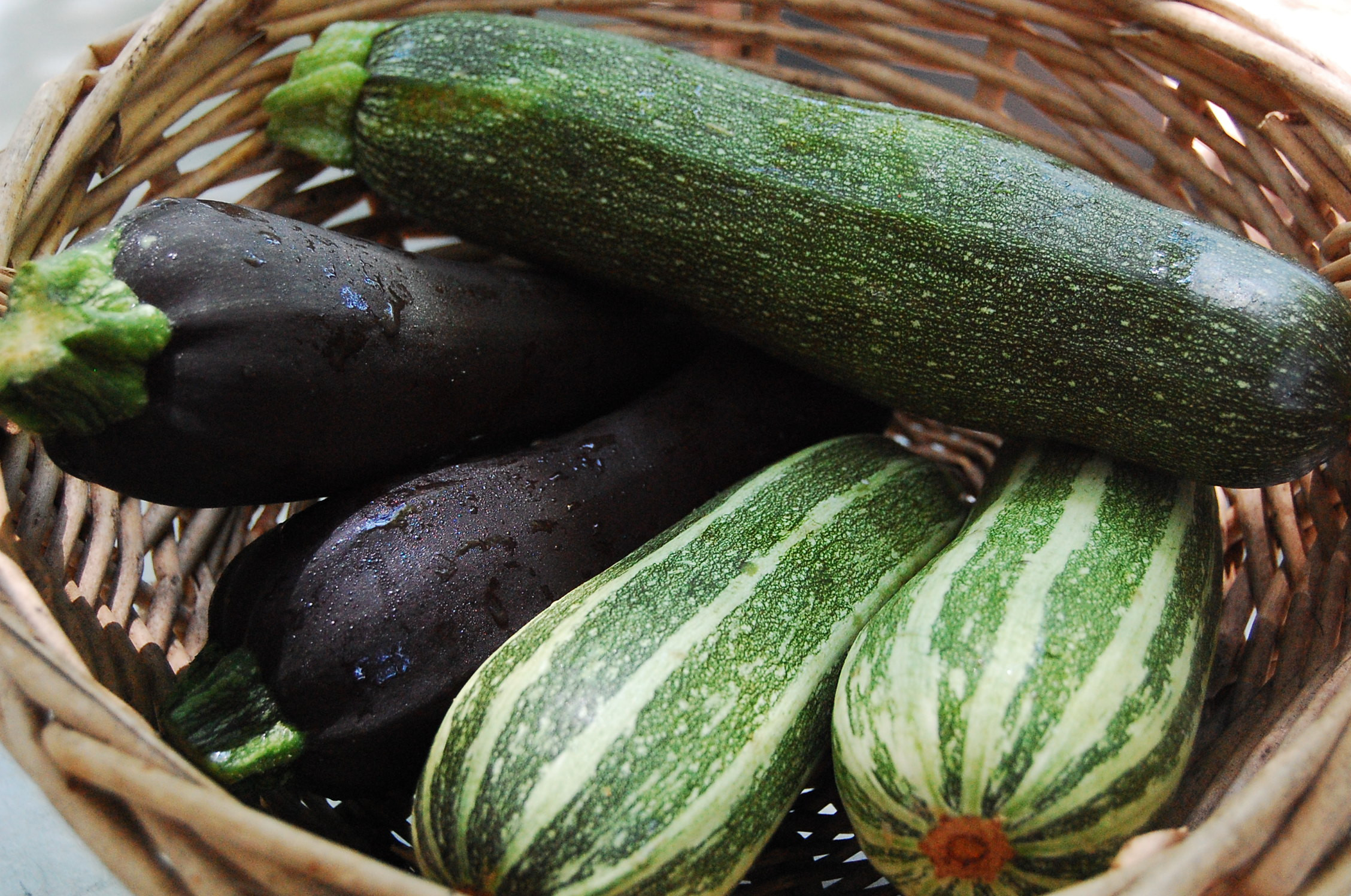 Types Of Summer Squash
 Food for Thought Summer Squash