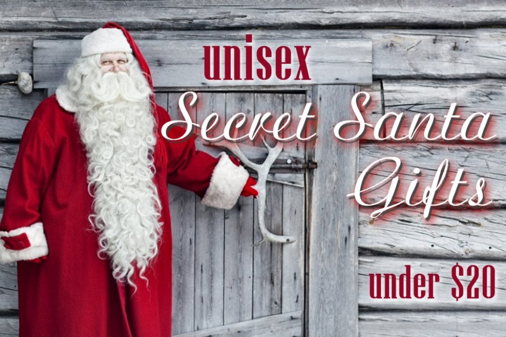 Unisex Holiday Gift Ideas
 Uni Secret Santa Gift Ideas for Under $20