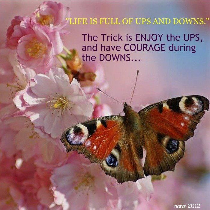 Ups And Downs In Life Quotes
 Life Is Full Ups And Downs Quotes QuotesGram