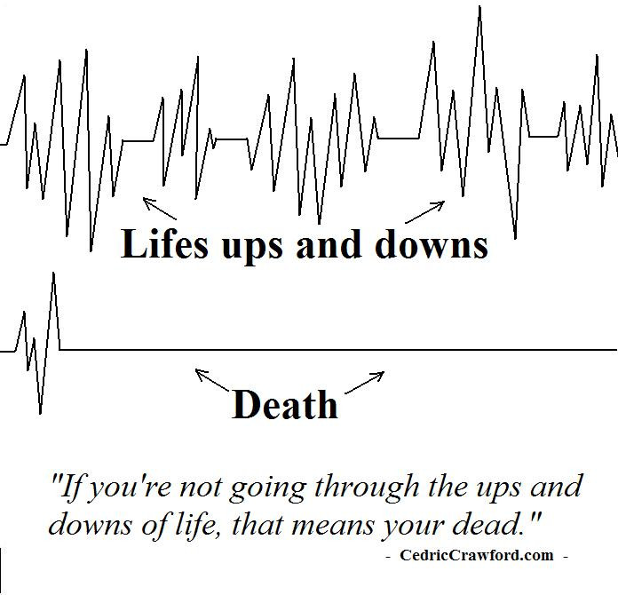 Ups And Downs In Life Quotes
 Ups & downs of life provide me lessons Contoveros