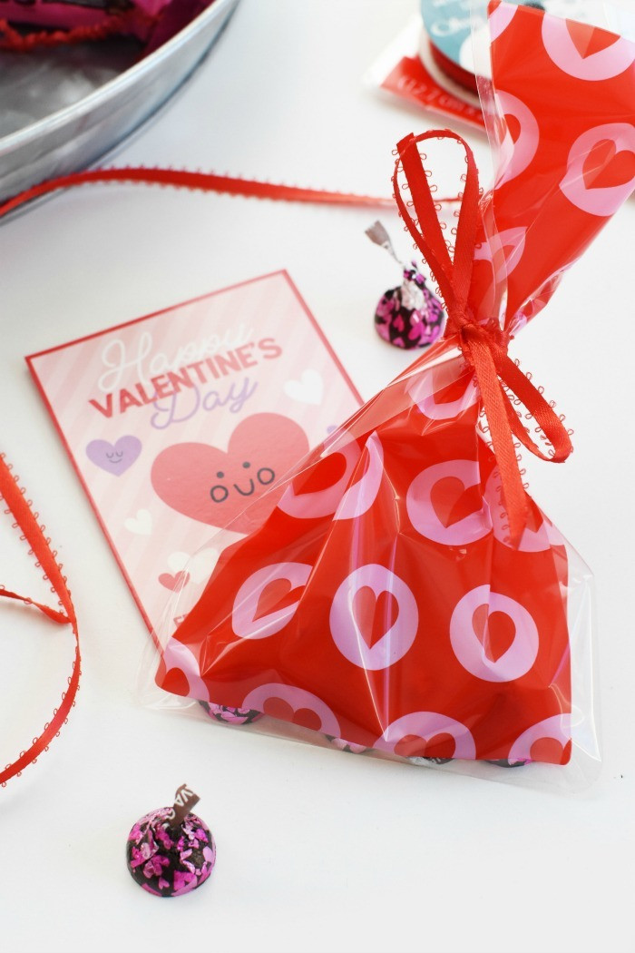 Valentine Day Gift Bags Ideas
 Cute Homemade Valentines Day Gift Ideas Inexpensive and