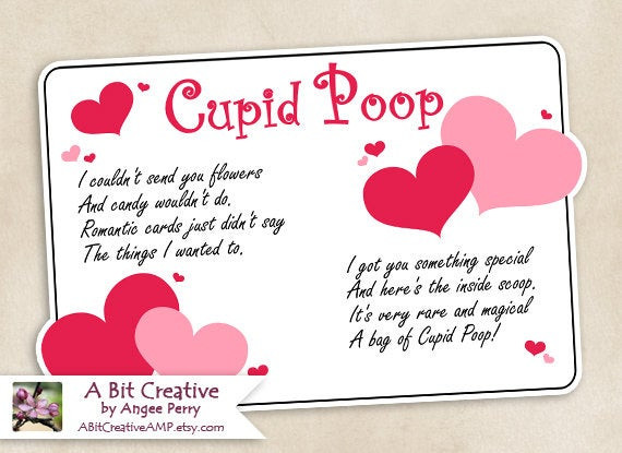 Valentine Gag Gift Ideas
 Cupid Poop Valentines Day Sweetheart Gag Gift Design DIY