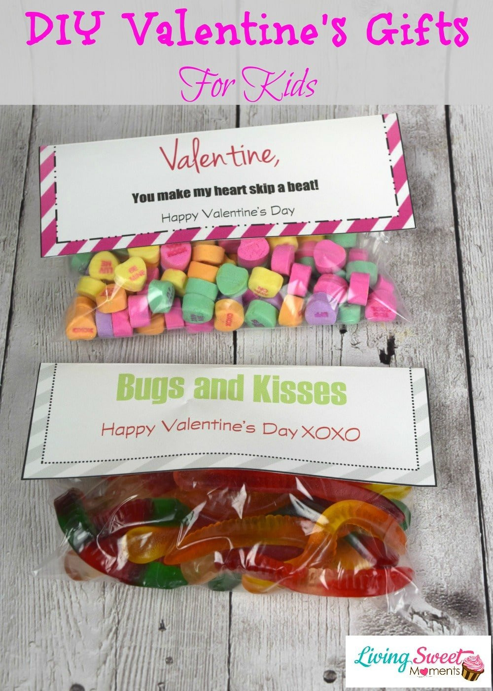 Valentine Gifts For Children
 DIY Valentine s Gift For Kids