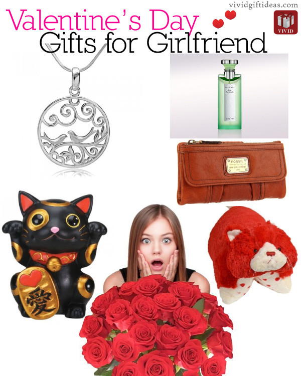Valentines Day Ideas For Girlfriend
 Romantic Valentines Gifts for Girlfriend 2014 Vivid s