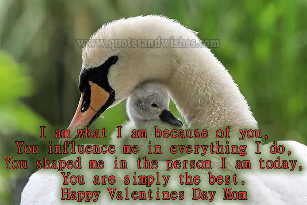 Valentines Day Quotes For Mother
 Funny Valentine Quotes For Moms QuotesGram