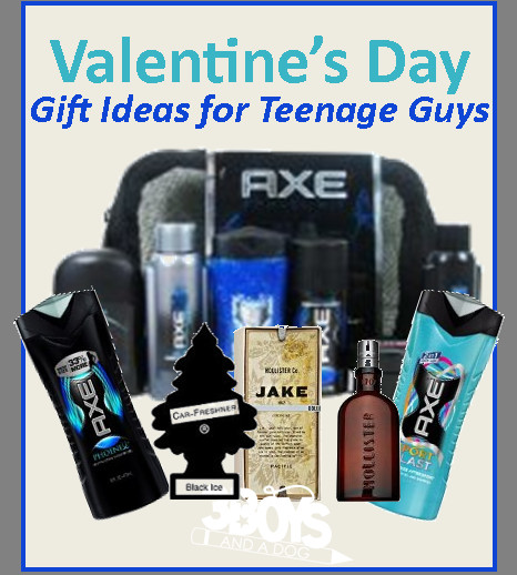 Valentines Gift Ideas For Teenage Guys
 Valentine Gifts for Teenage Guys