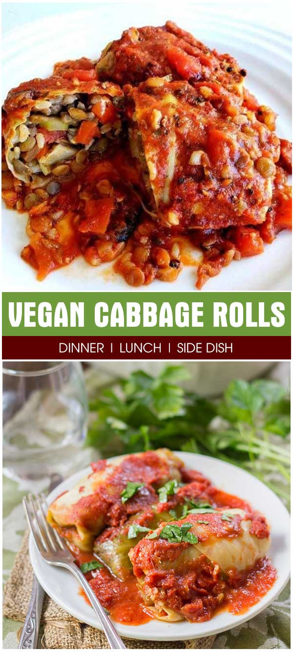 Vegan Cabbage Rolls
 Vegan Cabbage Rolls – HealthyCareSite