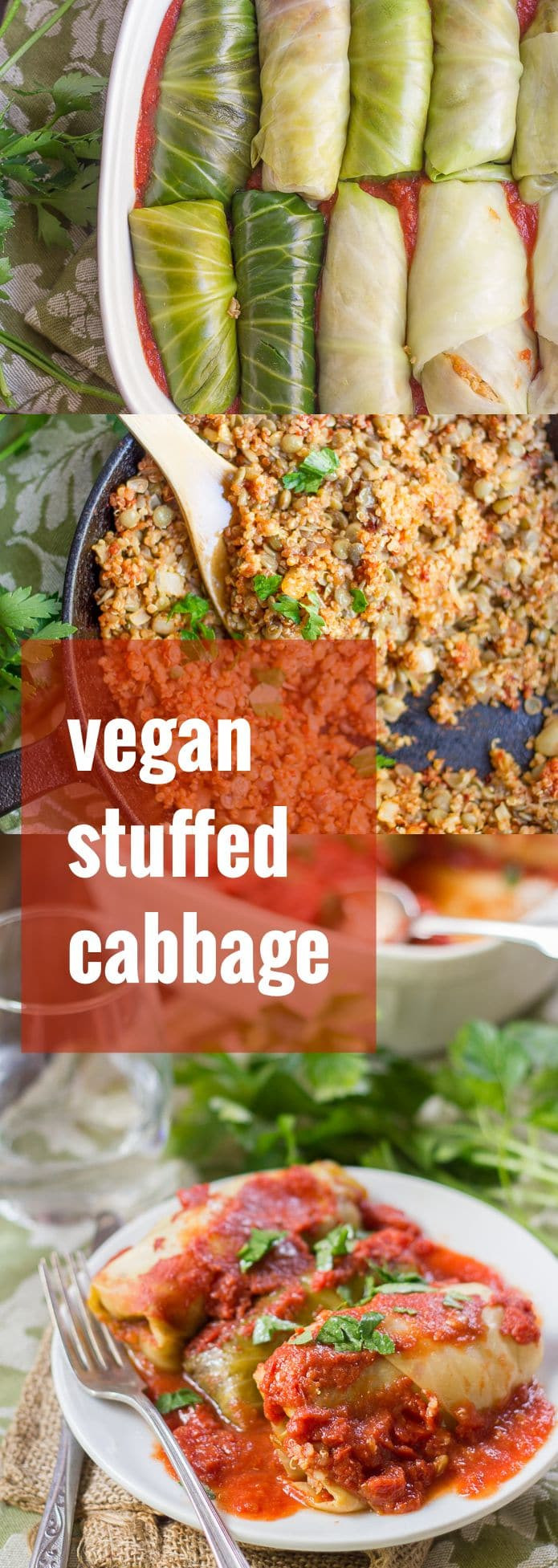 Vegan Cabbage Rolls
 Quinoa & Lentil Stuffed Vegan Cabbage Rolls