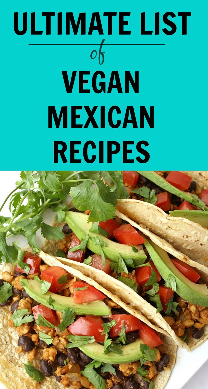 Vegetarian Mexican Food Recipes
 The Garden Grazer Ultimate List of Vegan Mexican Recipes