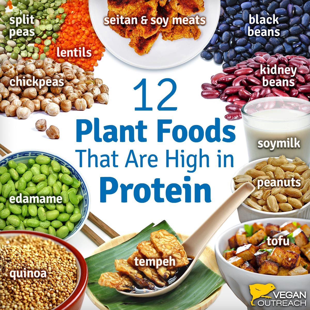 Vegetarian Protein Snacks
 Vegan Protein Sources Familiar and Unique