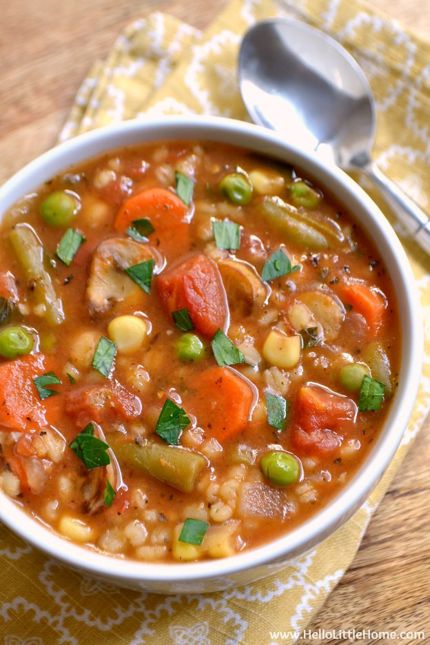 Vegetarian Soup Recipes Easy
 Ve able Barley Soup