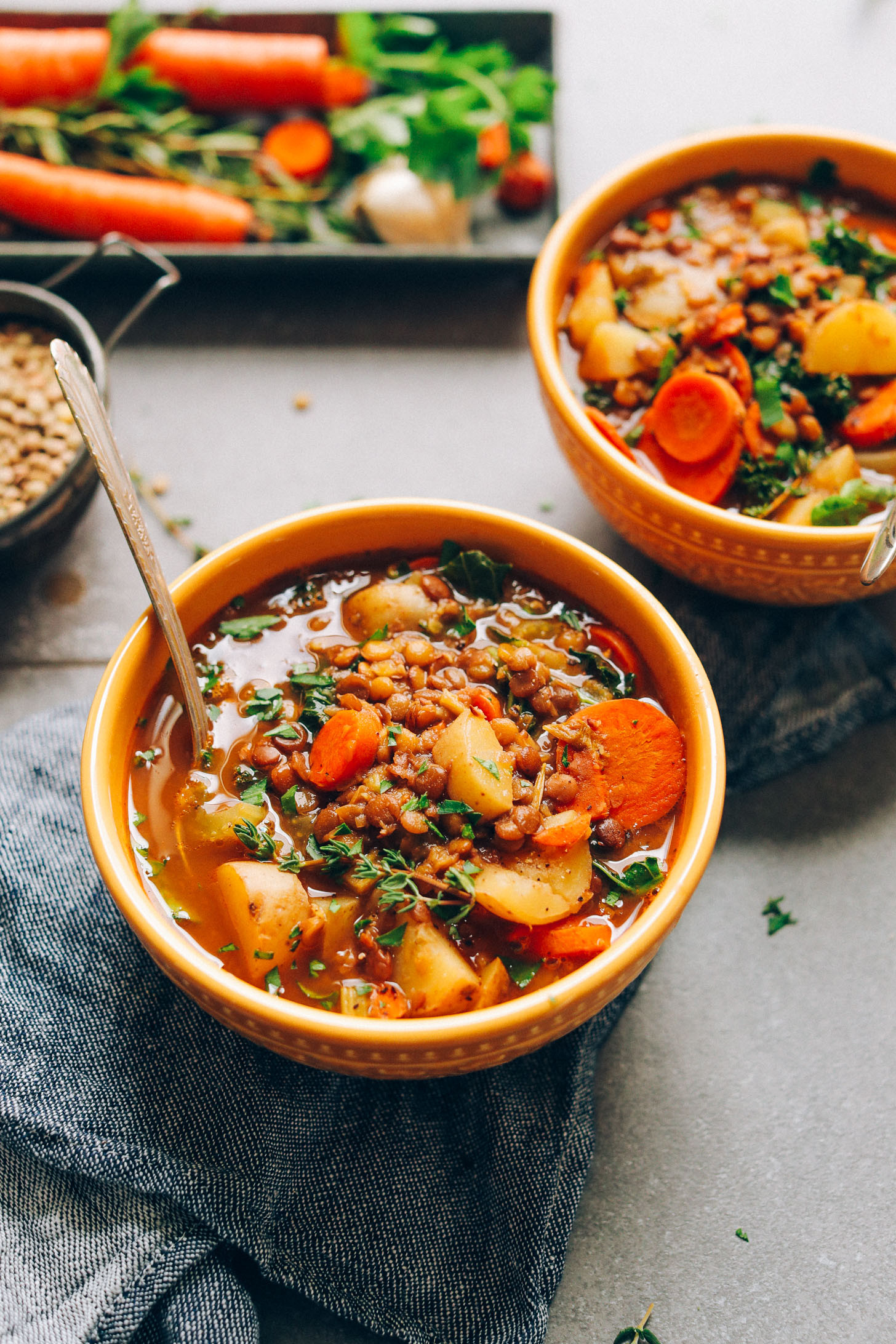 Vegetarian Soup Recipes Easy
 1 Pot Vegan Lentil Soup