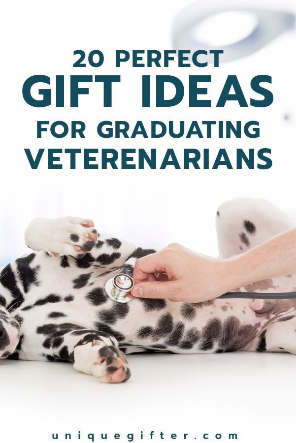 Veterinarian Graduation Party Ideas
 20 Gift Ideas for Graduating Veterinarians