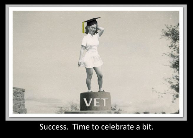 Veterinarian Graduation Party Ideas
 Congratulations Veterinary Graduation card