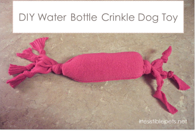 Water Bottle Dog Toy DIY
 DIY Dog Projects ROMP Italian Greyhound Rescue