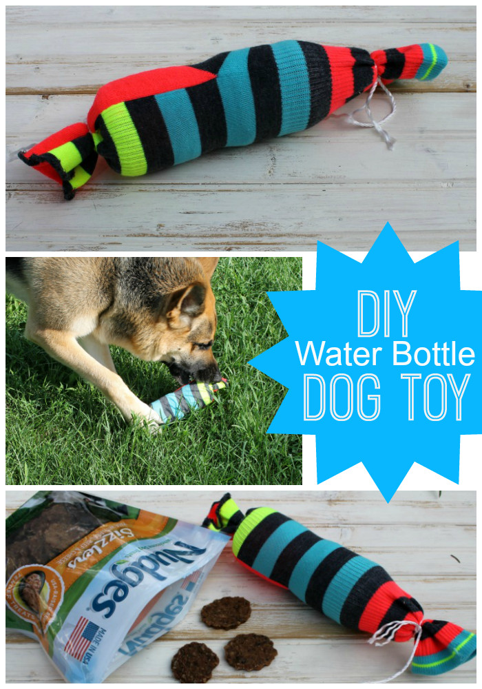 Water Bottle Dog Toy DIY
 Show Your Pup Love with Nudges Dog Treats & this DIY Water