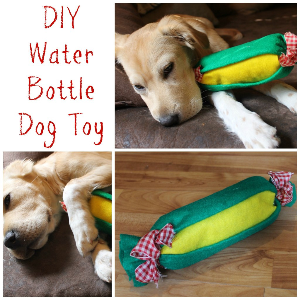 Water Bottle Dog Toy DIY
 Easy DIY Water Bottle Dog Toy