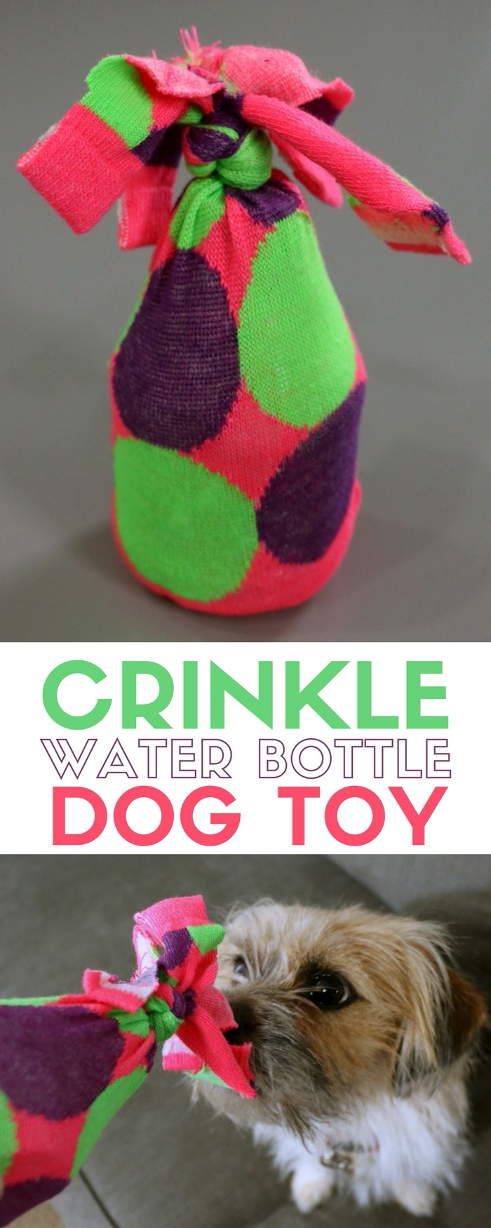 Water Bottle Dog Toy DIY
 How to Make a Water Bottle Crinkle Dog Toy The Crafty