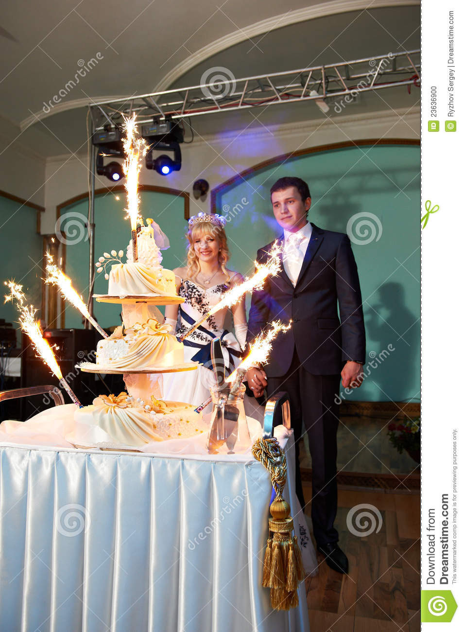 Wedding Cake Sparklers
 Wedding Cake With Sparklers And Newlyweds Stock