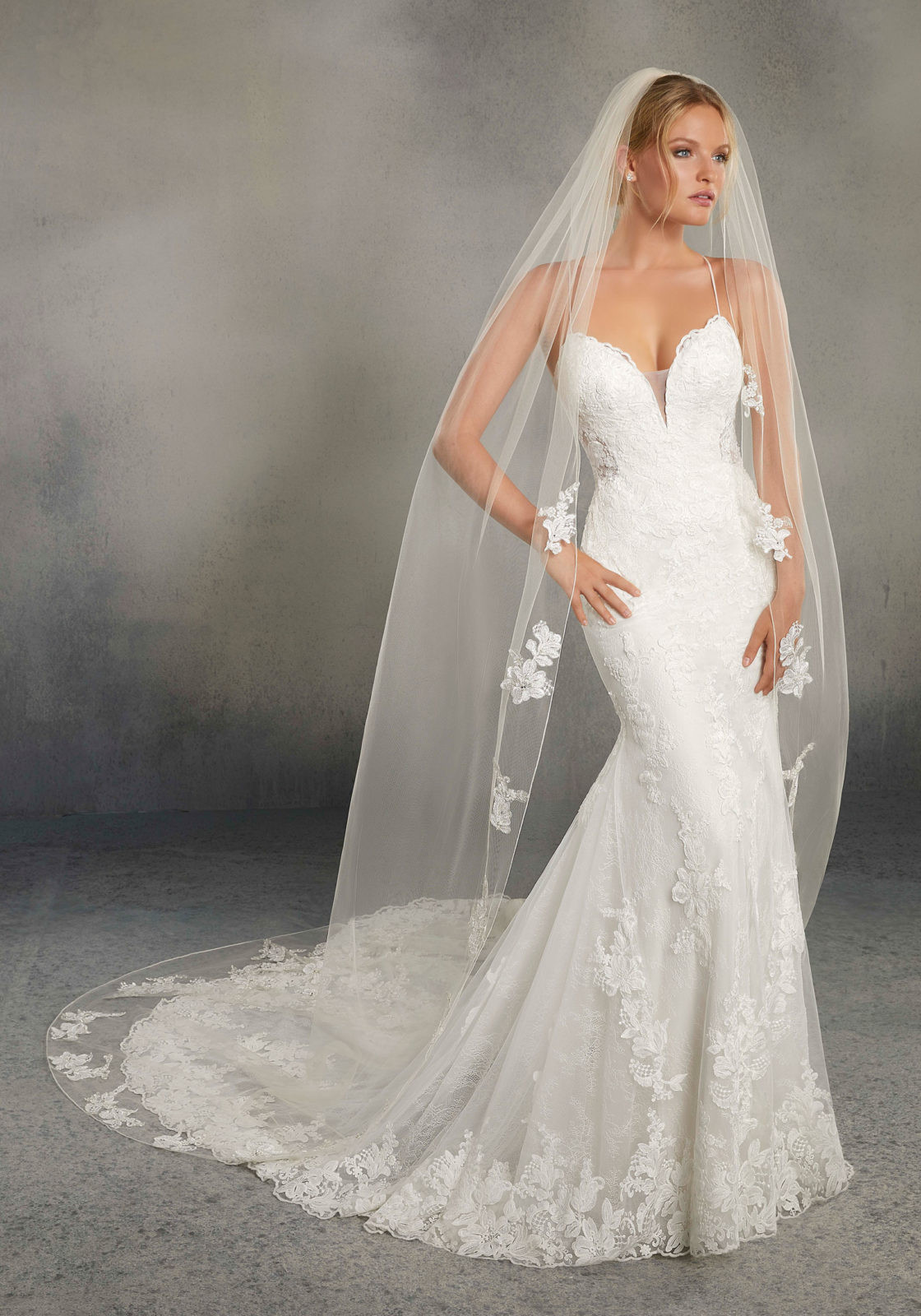 Wedding Dresses With Veils
 Veil Edged with Pearl and Rhinestone Beaded Lace