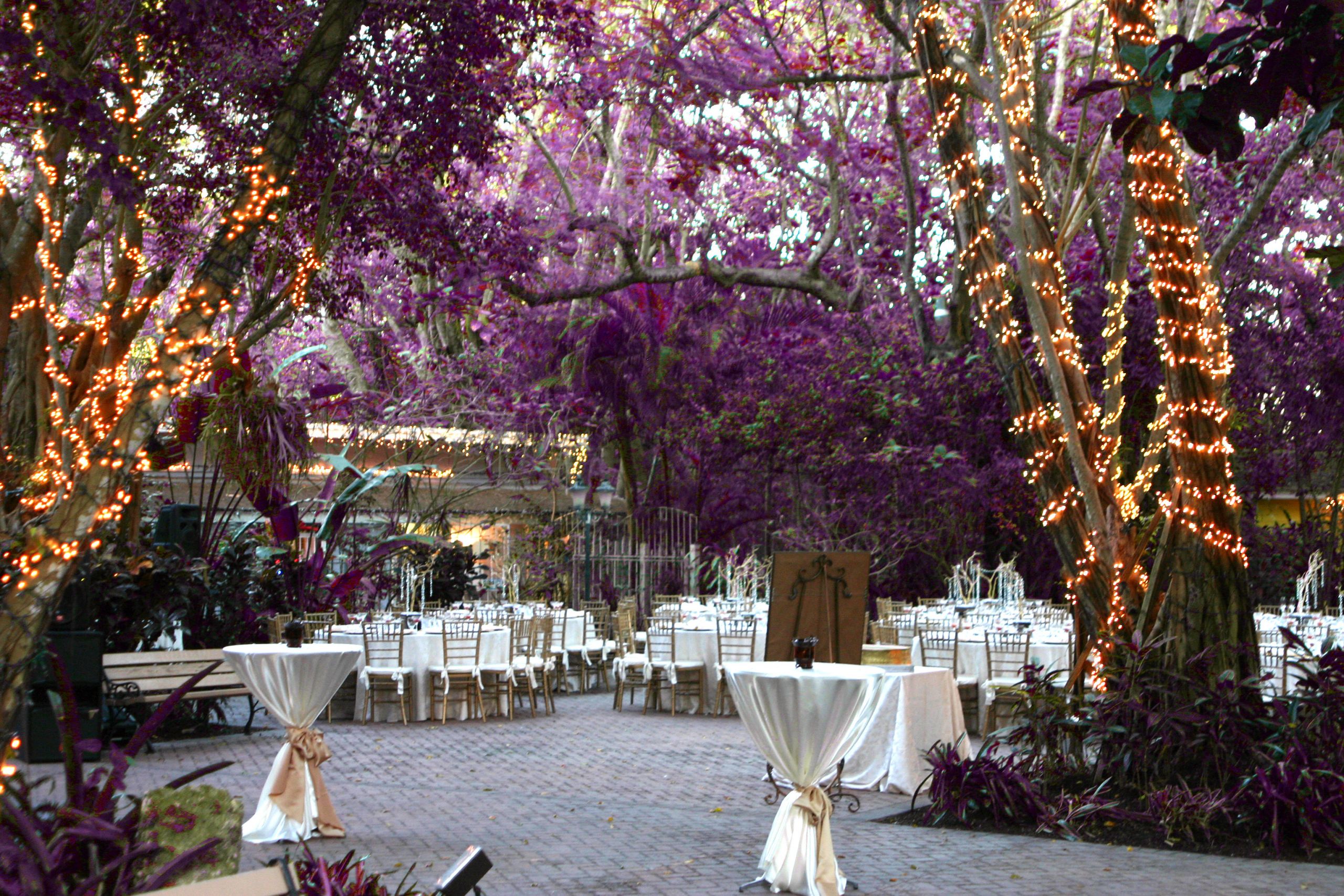 Wedding Venues In Florida
 7 South Florida Wedding Venues to Keep on Your Radar