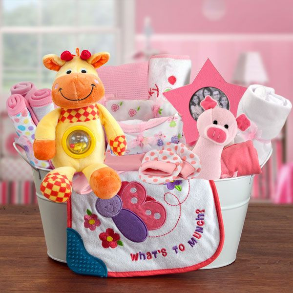 Welcome Baby Gift Ideas
 Wel e Home Baby Girl Gift Basket
