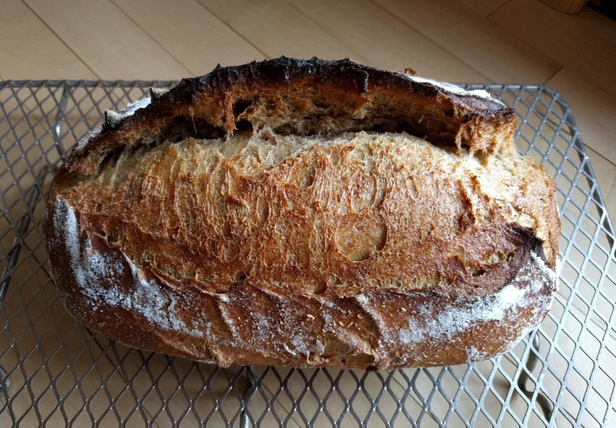 Whole Wheat Sourdough Sandwich Bread
 Whole Grain Sourdough Rustic Country Loaf