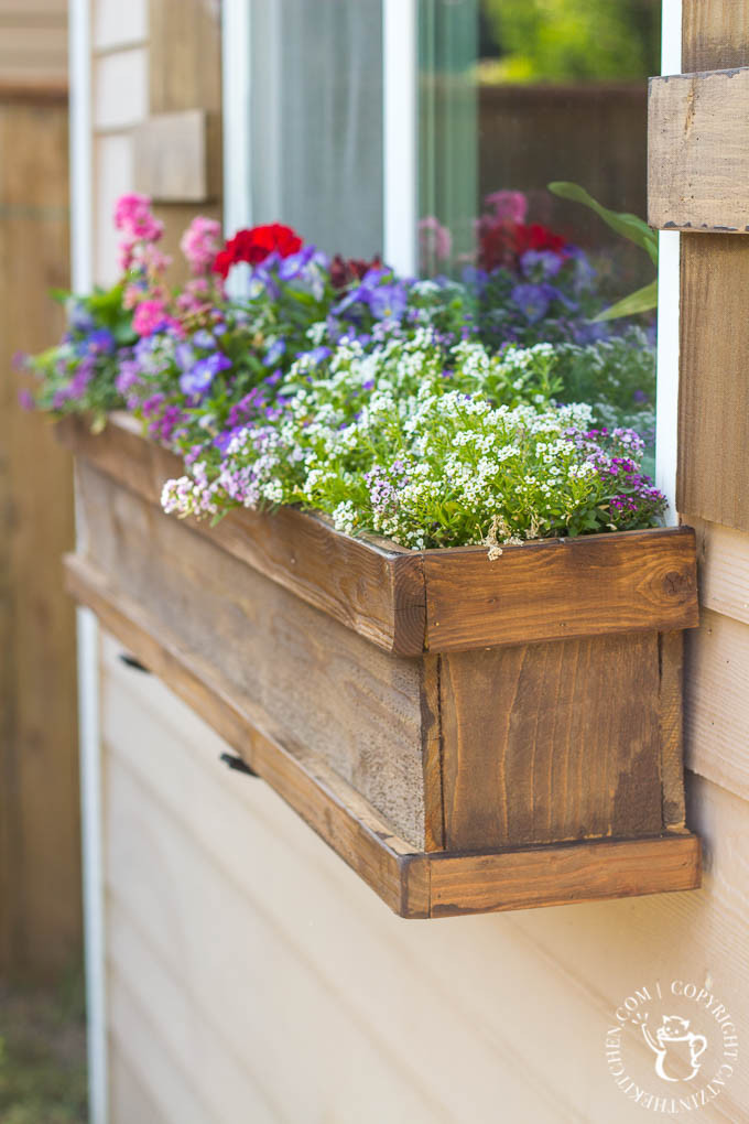 Window Boxes DIY
 DIY Window Box and Shutters Catz in the Kitchen