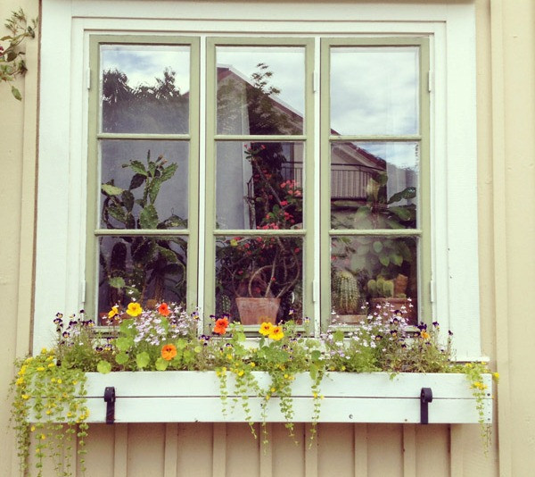 Window Boxes DIY
 Window Box Ideas