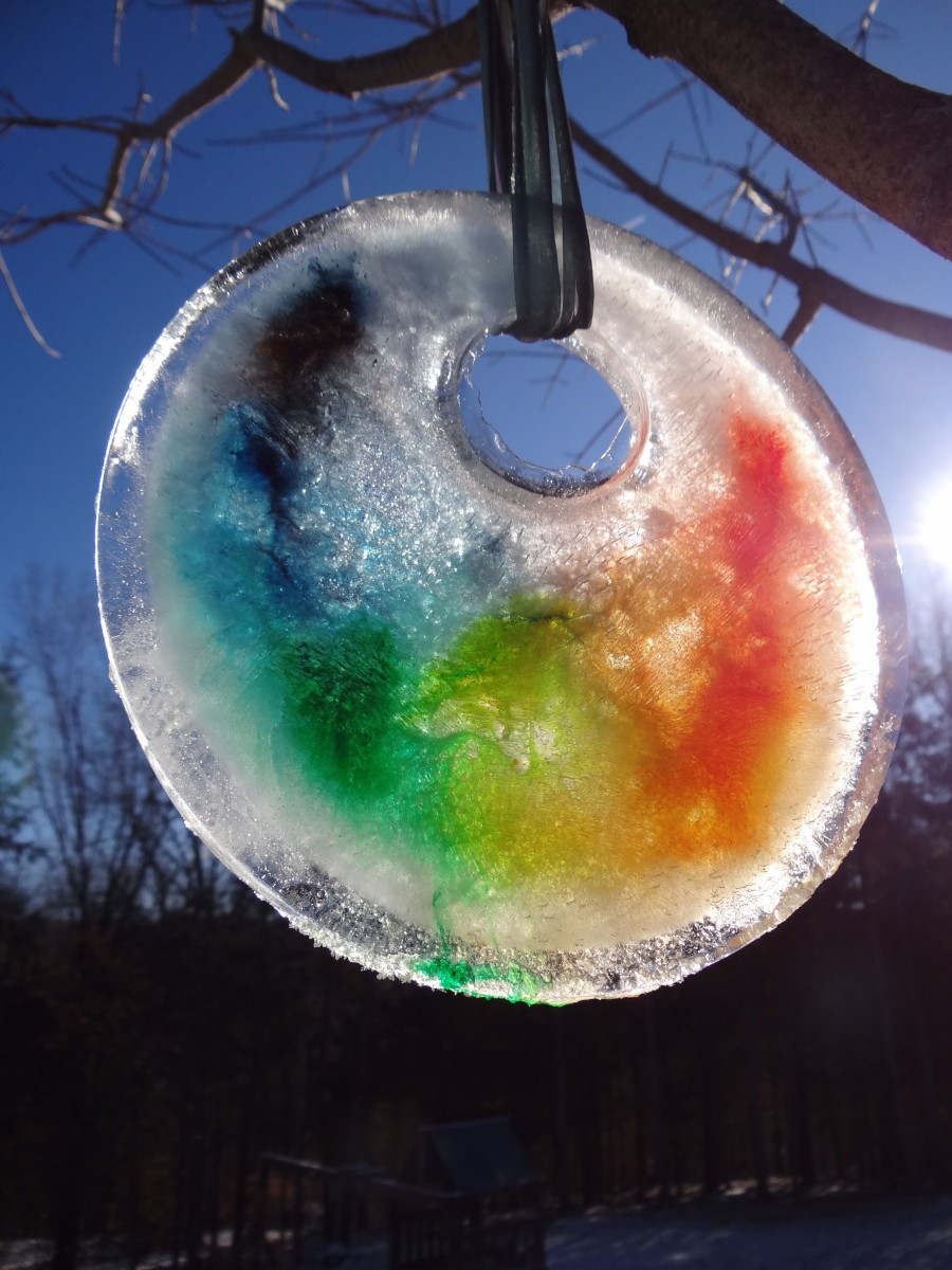 Winter Projects For Adults
 How to Make Ice Sun Catchers Great Winter Craft