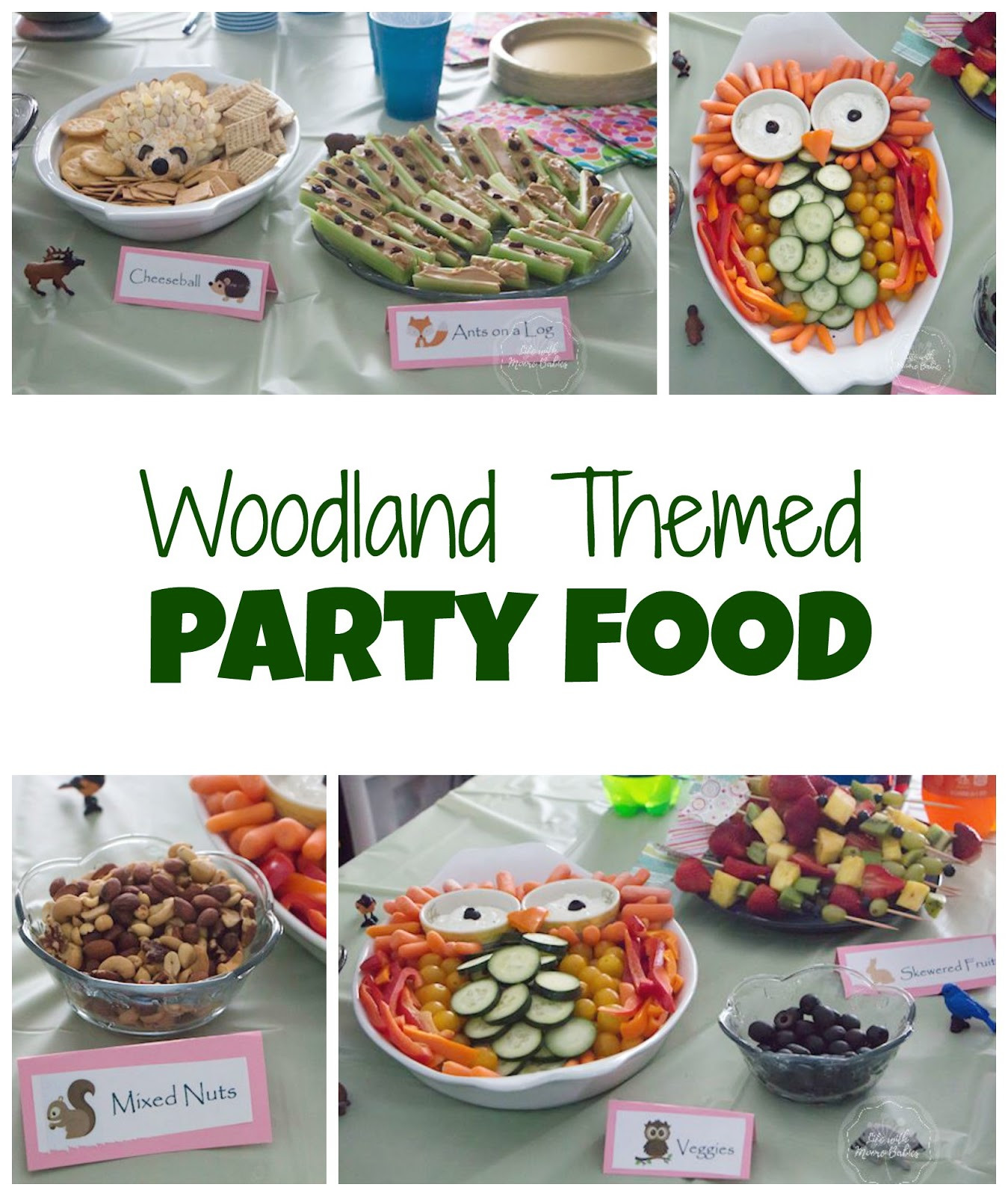 Woodland Birthday Party Food Ideas
 Ideas to Host an Adorable Woodland Birthday Party Life