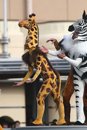 Zebra Costume DIY
 Giraffes s and Zebra costume on Pinterest