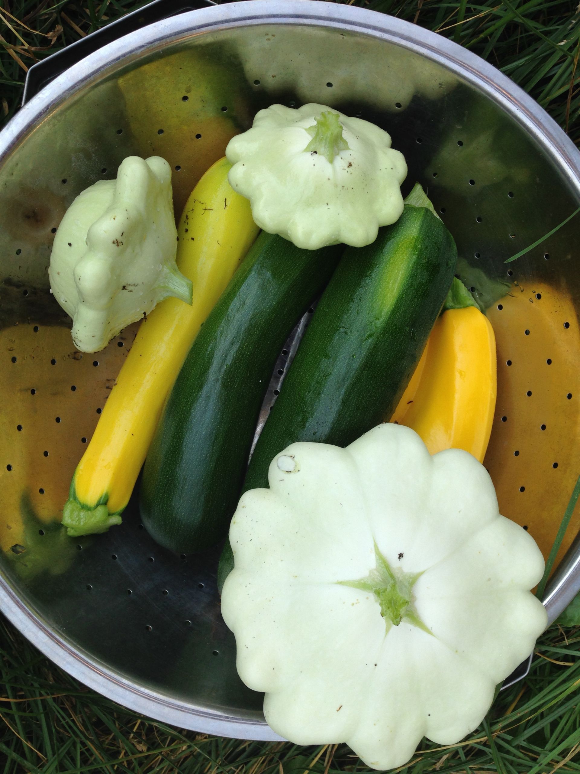 Zucchini And Summer Squash Recipes
 100 Savory & Sweet Zucchini and Summer Squash Recipes