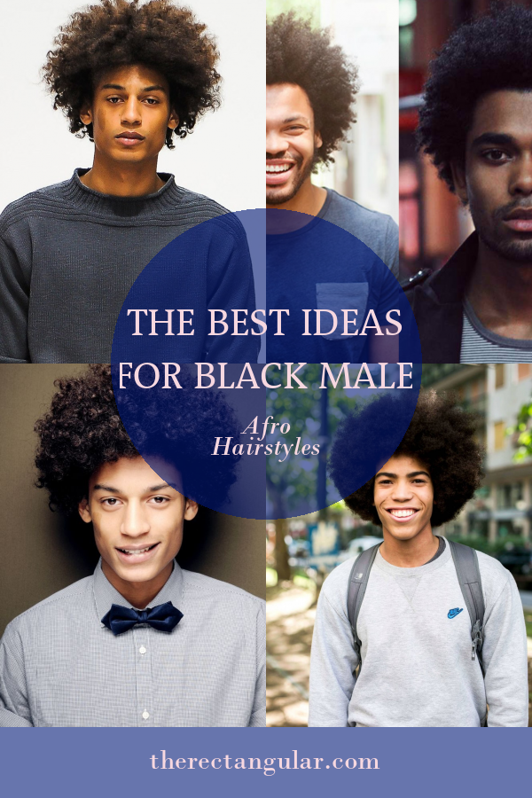 The Best Ideas for Black Male Afro Hairstyles - Home, Family, Style and ...