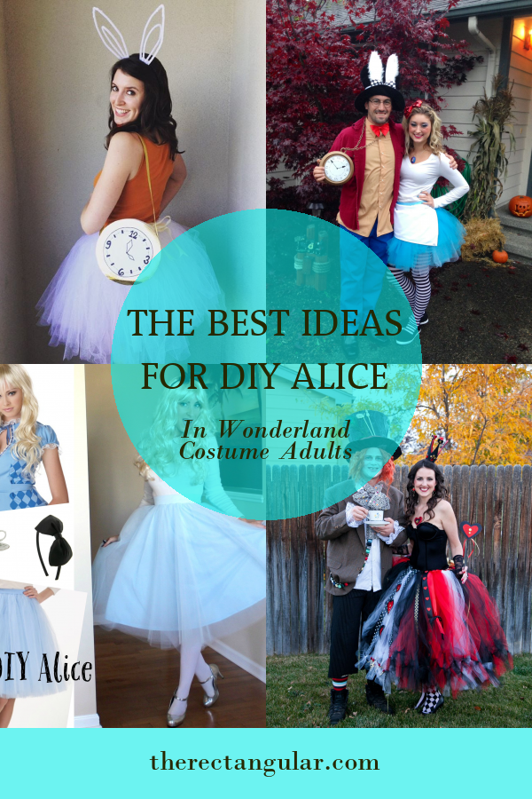 The Best Ideas for Diy Alice In Wonderland Costume Adults - Home ...