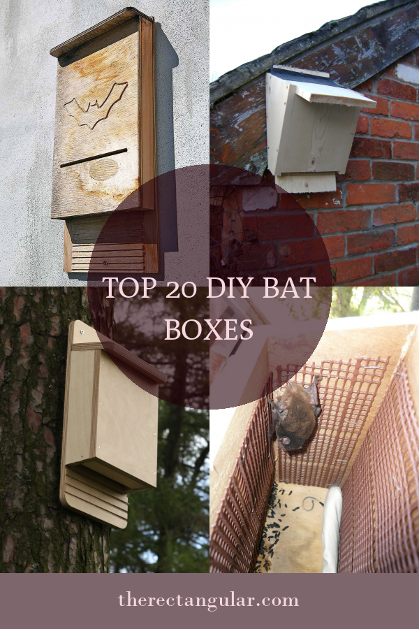 Top 20 Diy Bat Boxes - Home, Family, Style and Art Ideas