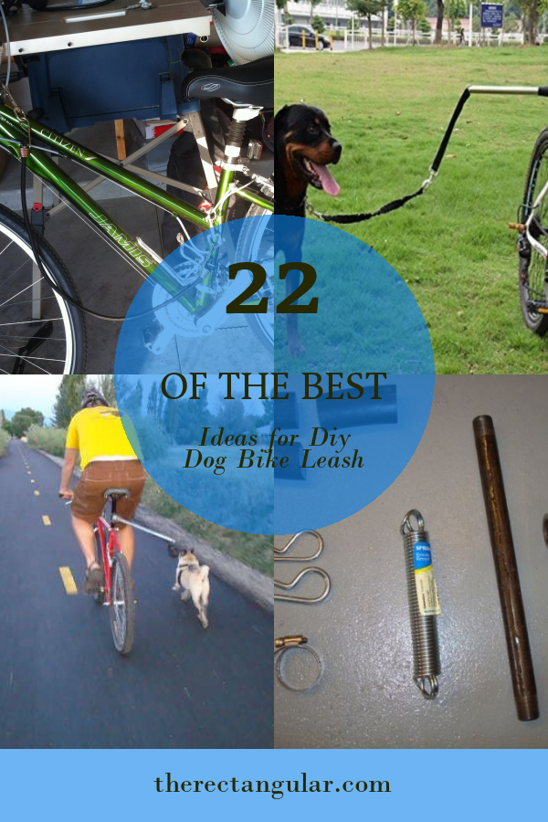 22 Of the Best Ideas for Diy Dog Bike Leash - Home, Family, Style and ...