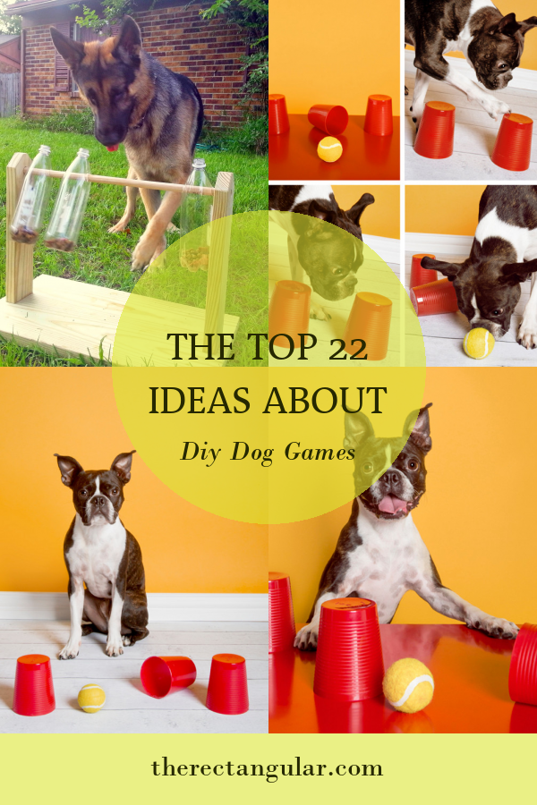 The top 22 Ideas About Diy Dog Games - Home, Family, Style and Art Ideas