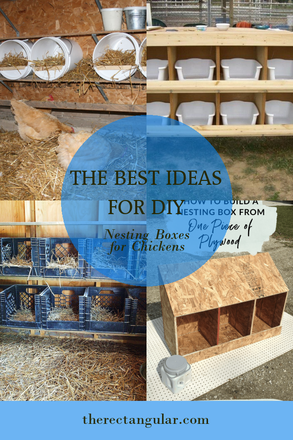 The Best Ideas For Diy Nesting Boxes For Chickens - Home, Family, Style 