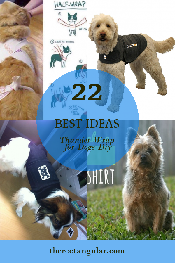 22 Best Ideas Thunder Wrap for Dogs Diy - Home, Family, Style and Art Ideas