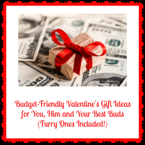 Best Valentine'S Day Gift Ideas For Him
 Bud Friendly Valentine s Gift Ideas for You Him and