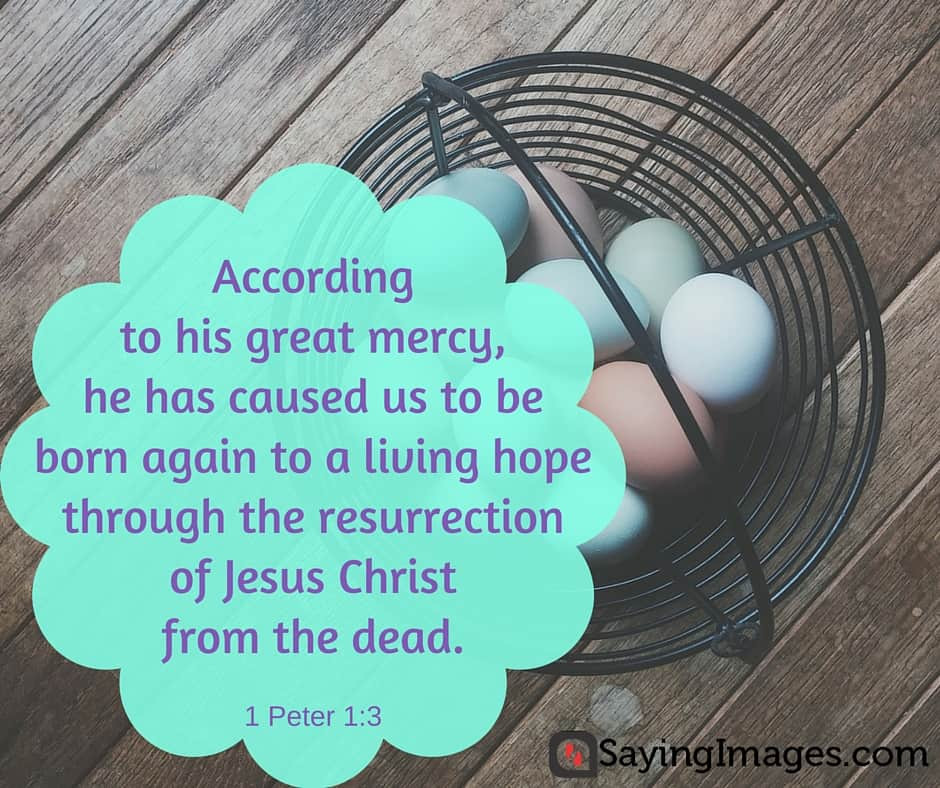 Bible Quotes About Easter
 22 Easter Bible Verses For a Sunday of Redemption