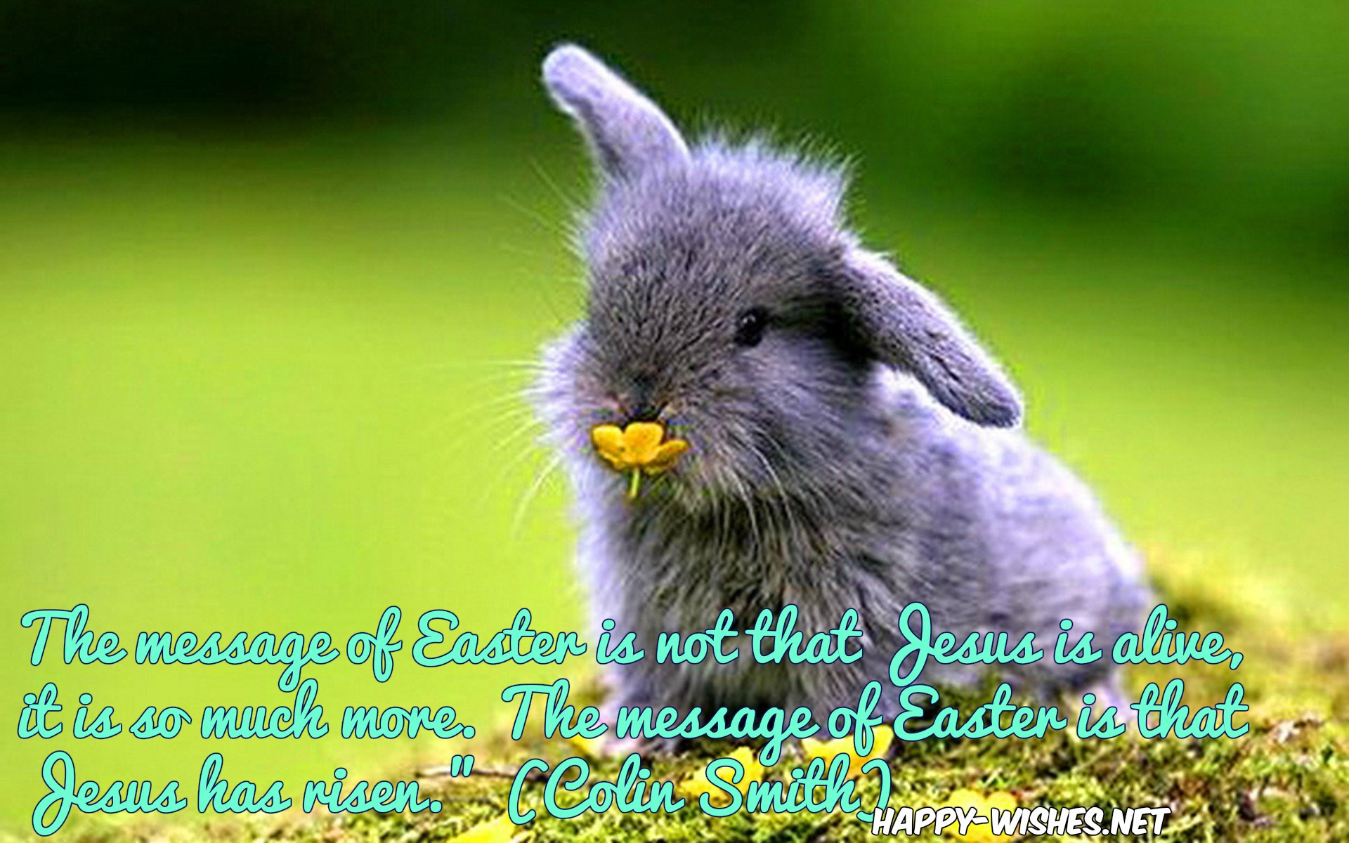 Cute Easter Quotes And Sayings
 Happy Easter 2019 Quotes For Friends