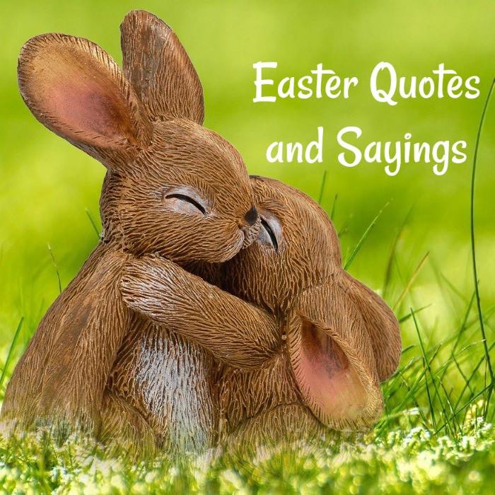 Cute Easter Quotes And Sayings
 Easter Quotes for Crafts Cards and Printables [Updated]