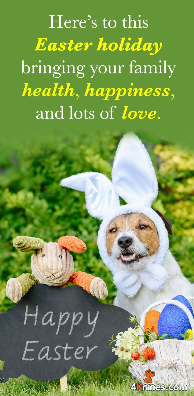 Cute Easter Quotes And Sayings
 Happy Easter From All of Us at 4Knines