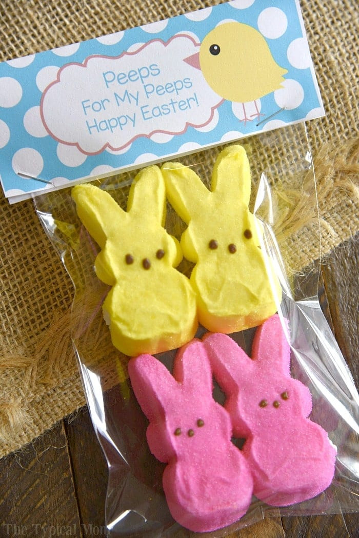 Easter Bag Ideas
 Easter Treat Bags · The Typical Mom