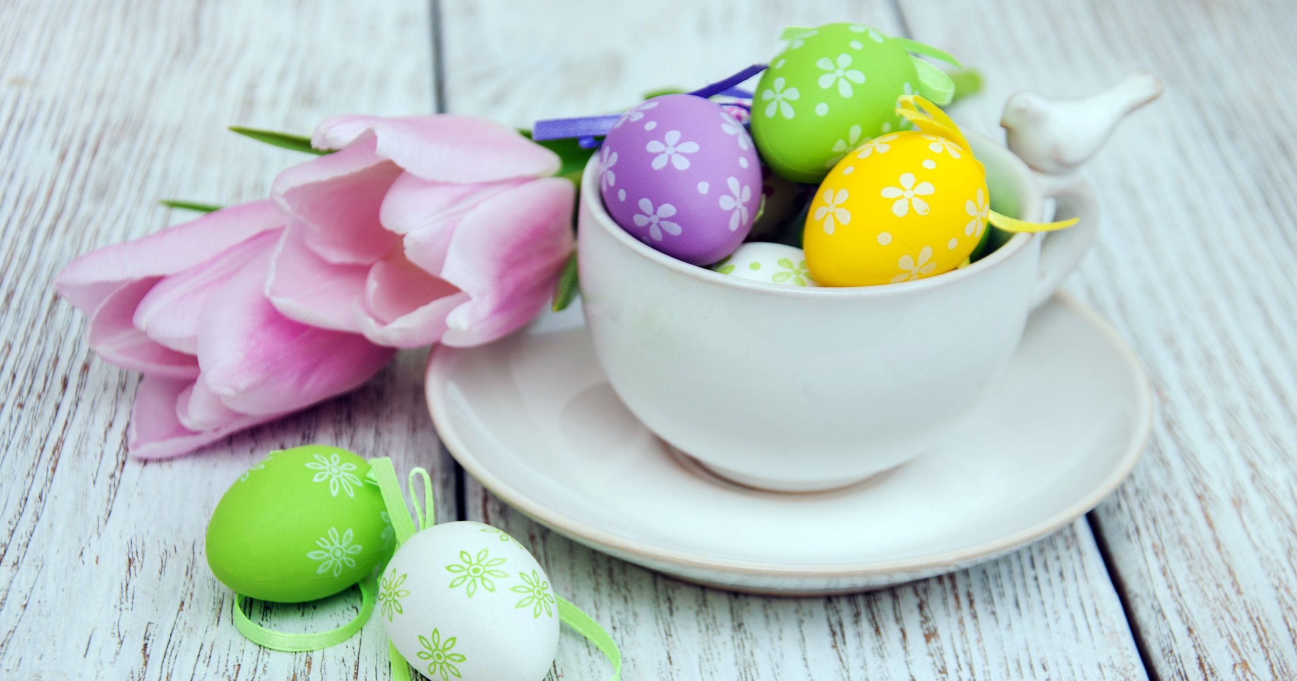 Easter Dinner Specials
 Easter dining Holiday brunch and dinner specials